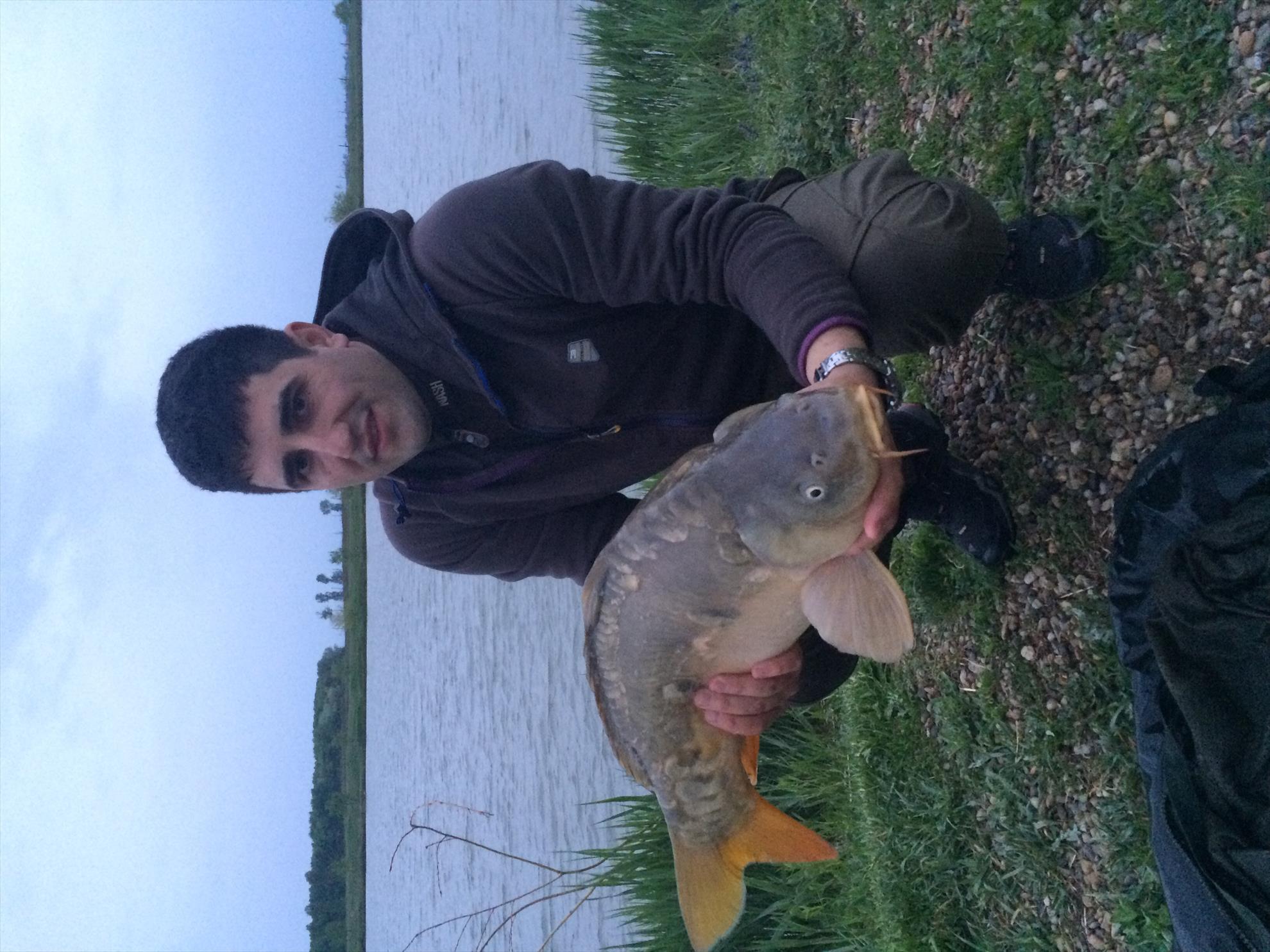 Balta mobydick dorlot - image1111.jpg